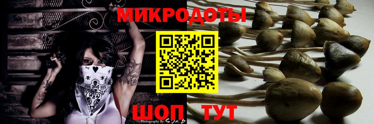 Галлюциногенные грибы ЛСД Искитим